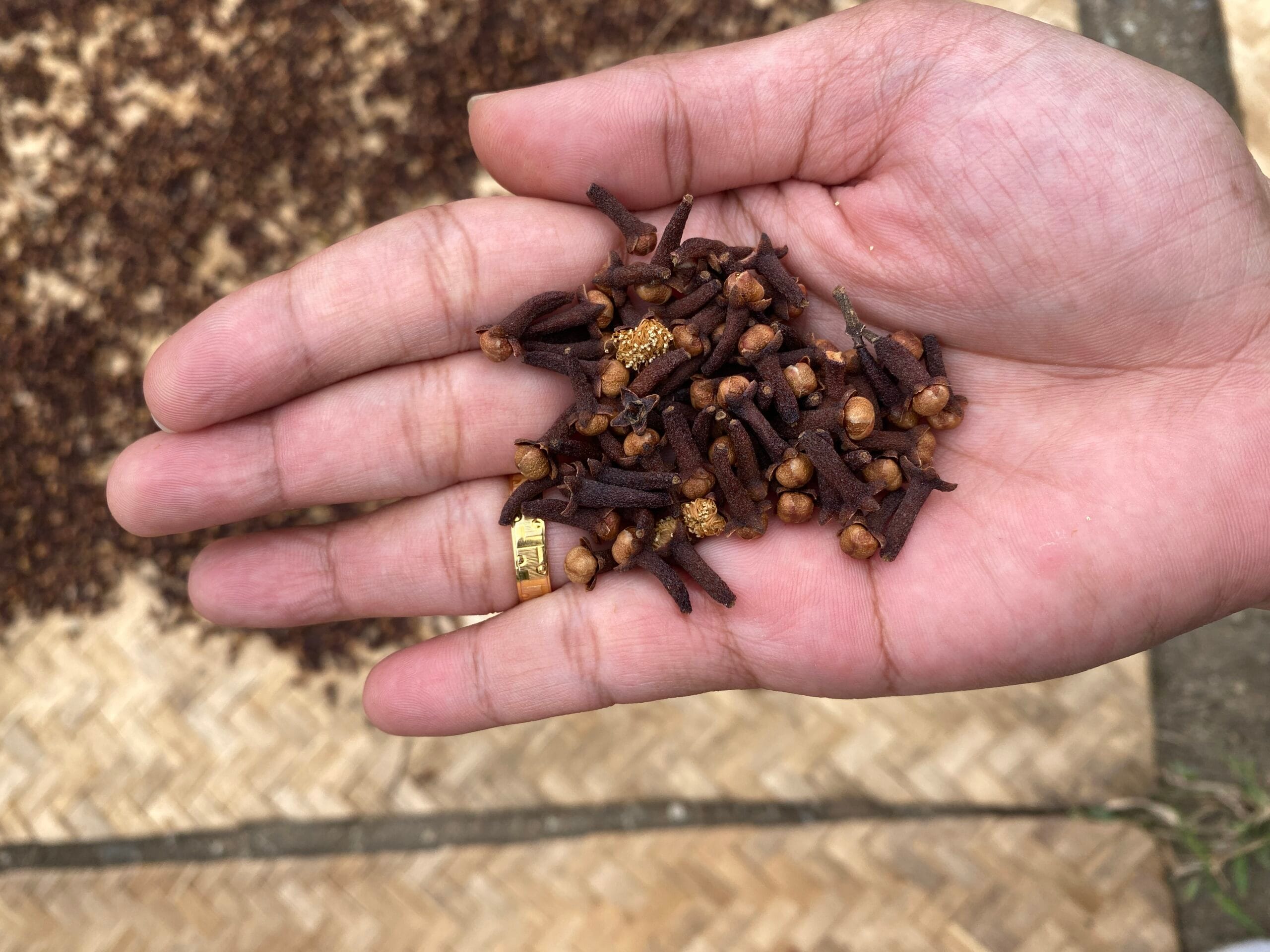 Cengkeh Premium Kaligintung